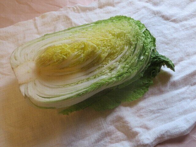 白菜2分の1玉があっという間に消える！大量消費レシピ2