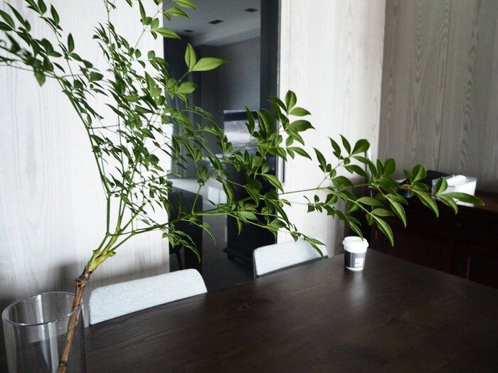 リセットお片づけから始めよう