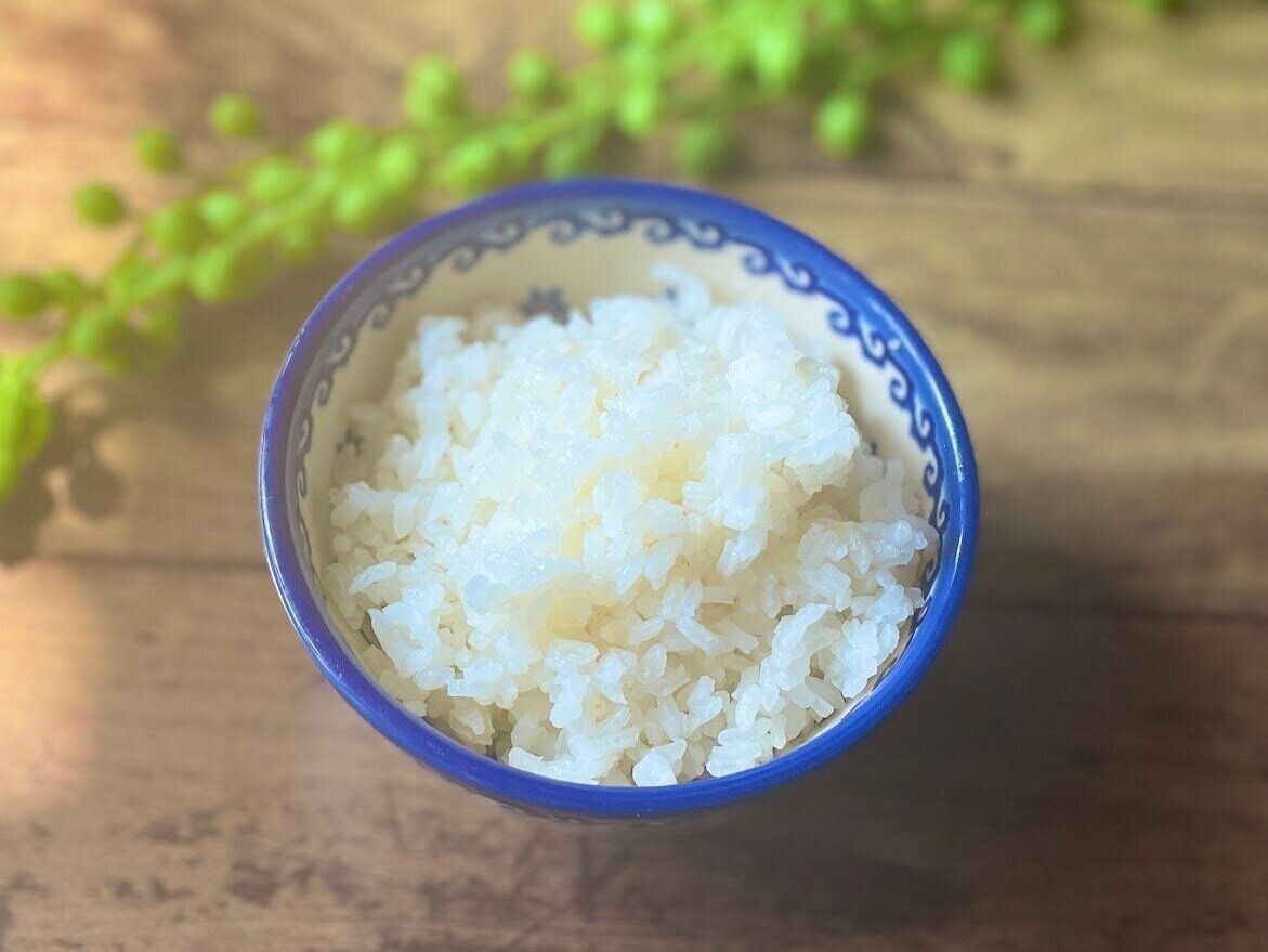 ご飯用の保存容器がかさばる～！なくしてみたらどうなった？