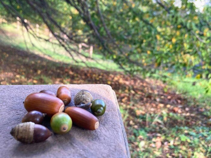 年の瀬前に終わらせると楽！早めにやっておきたい家事3選