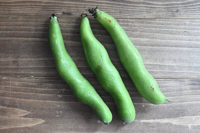 そら豆は焼いて下処理が楽ちん！＆おすすめアレンジレシピ2選