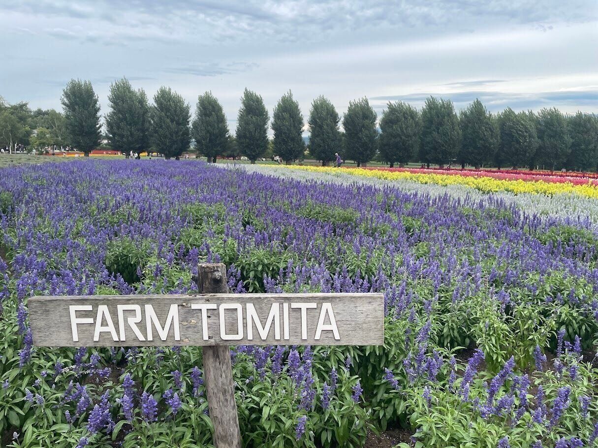 ５年ぶりに北海道の実家へ帰省！北海道のテレビにも出演してきました