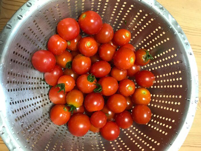 家庭菜園で取れすぎたプチトマトを美味しく食べる方法