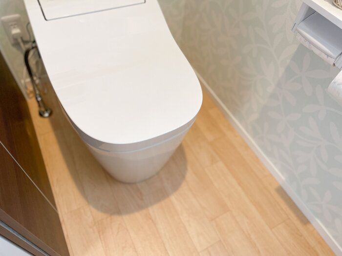 【簡単掃除】トイレの脱臭フィルター掃除したことある？