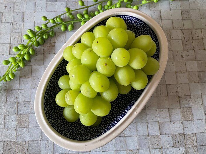 【ふるさと納税】自分で買うのは勇気がいるけど貰ったらうれしい！がおすすめ