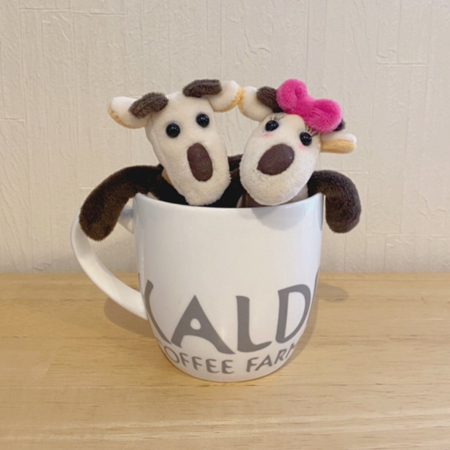 【自己紹介】週3でカルディに通う！カルディ大好き主婦なかべぇです！！