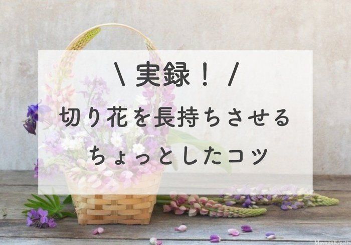 【実体験！】切り花を長持ちさせるちょっとしたコツ5選♪
