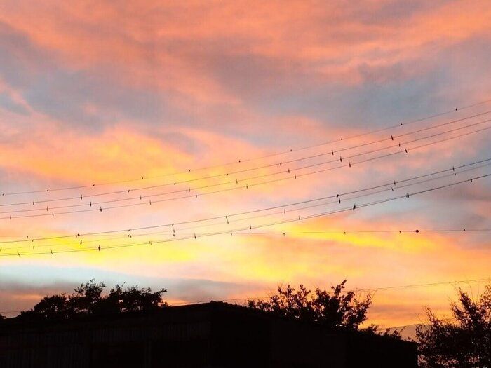 子どもを産んでから一番何もしなかった1日～もっと周りに頼っていい！～