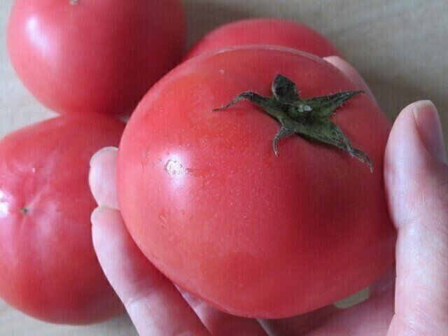 【5分で完成】トマトを切ってかけるだけ！手抜きに見えない副菜3選