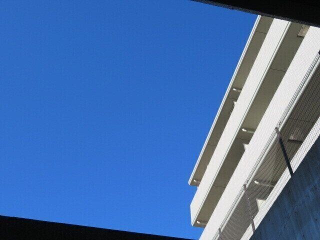 マンション低層階あるあるを語る！メリットもあればデメリットも