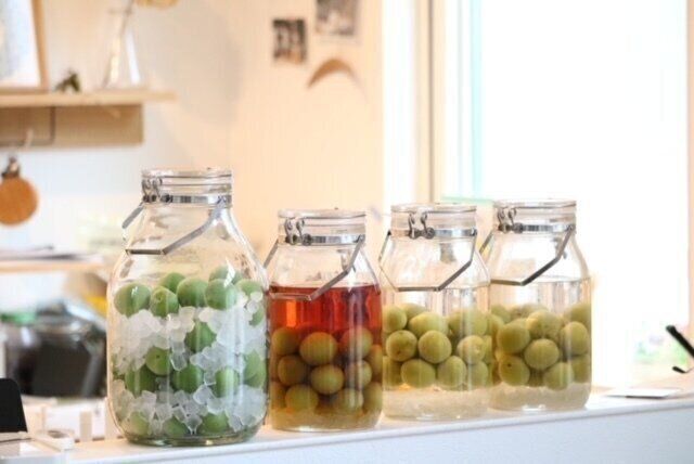 【自己紹介】趣味は、畑での家庭菜園。整理整頓を目指す4児の母