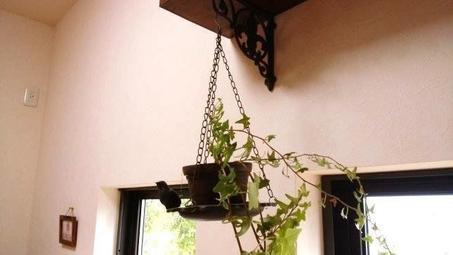 【3000万貯まるコツ(100)】悩んだら〇〇〇〇を買う。