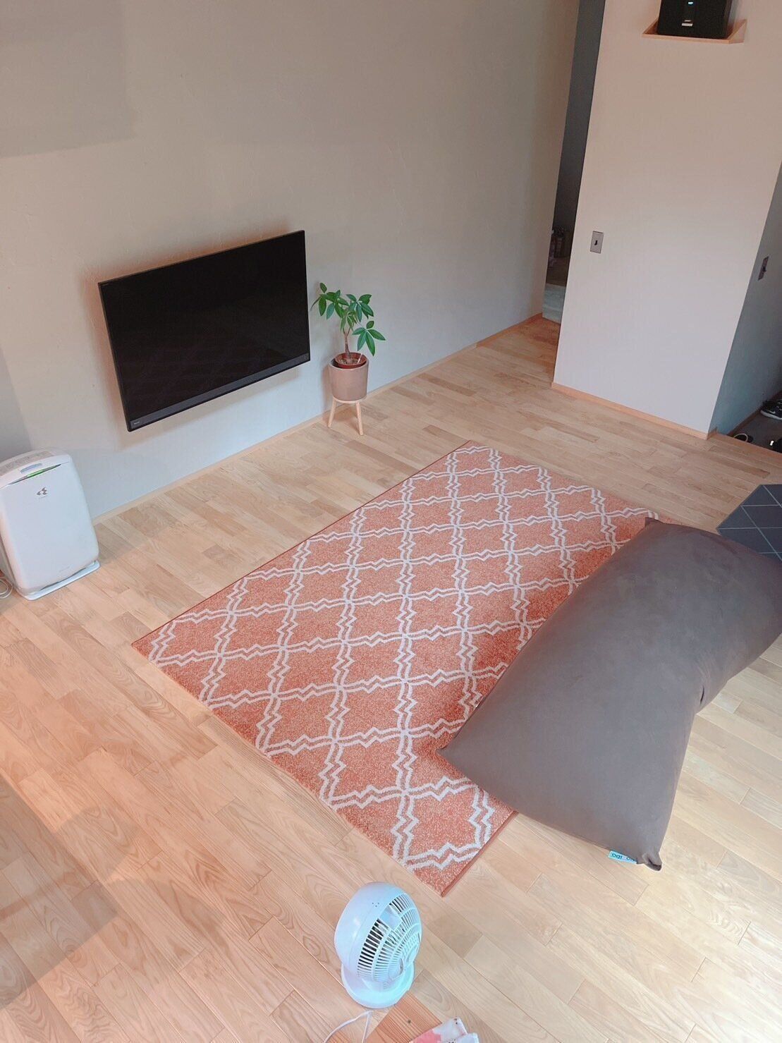 【ズボラな間取り】もうテレビ周りは散らからない！