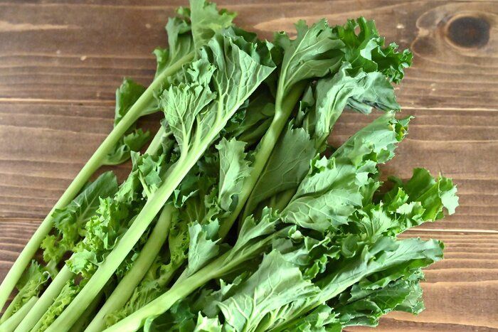 【旬食材】菜の花よりも食べやすい！子どもOK♪栄養たっぷりの「かき菜」を簡単レシピで味わおう