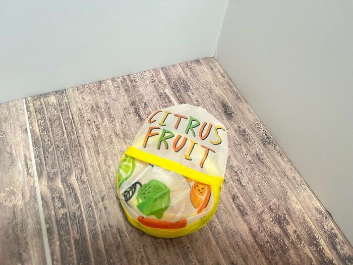 【ダイソー】夏がやってくる！！暑さ対策グッズの用意はお済みですか？！