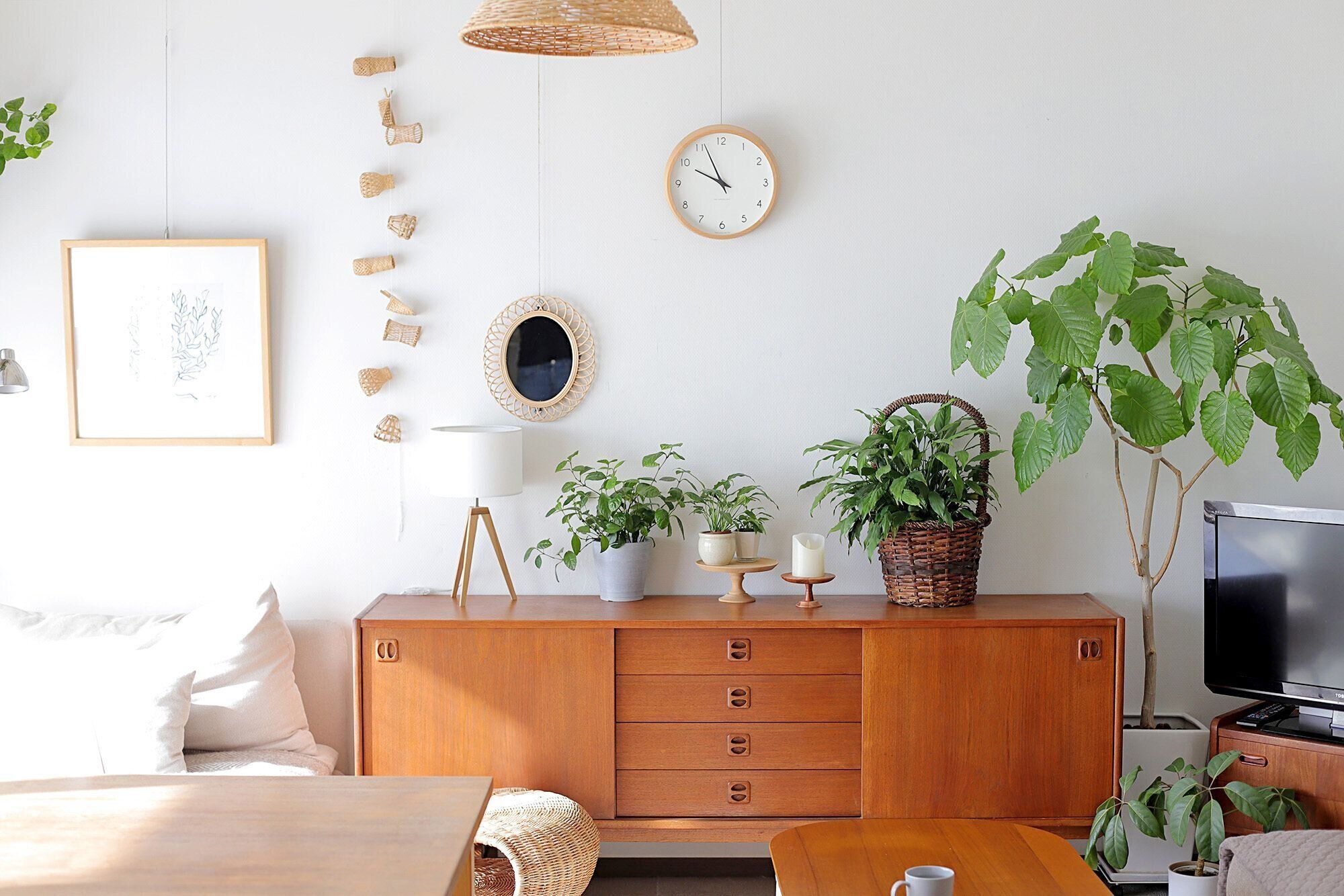 【インテリア】たったこれだけ！観葉植物をオシャレに飾る3つのコツ