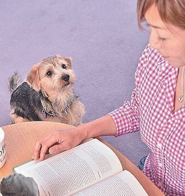 見つめ合うだけで愛犬がイイコに アイコンタクト がスゴイ いぬのきもち Web Magazine 愛犬と飼い主さんが目と目を合わせる アイ ｄメニューニュース Nttドコモ