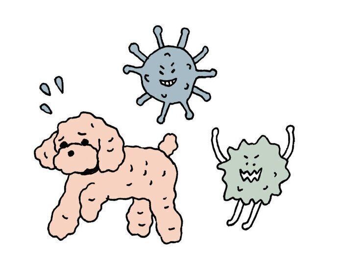 梅雨どきは犬も危険がいっぱい アブナイ菌とコワイ虫 いぬのきもち Web Magazine Goo ニュース