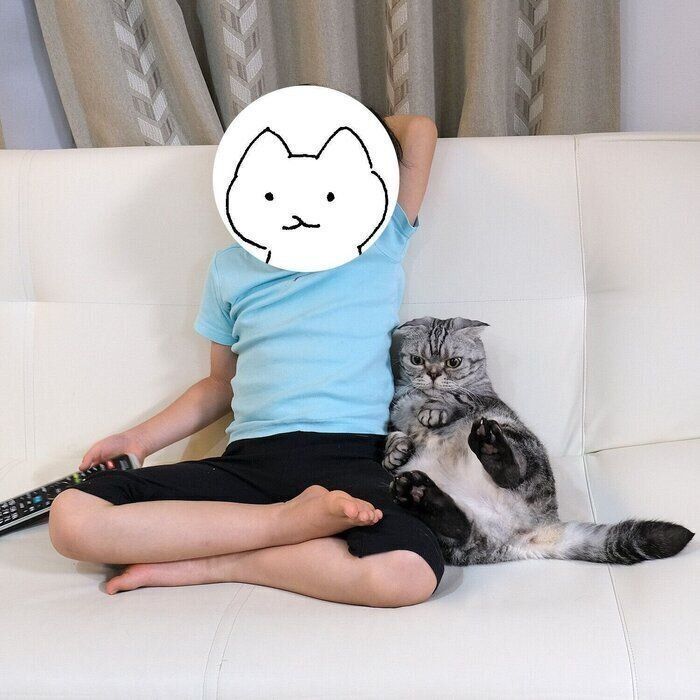 最速 股座 類語