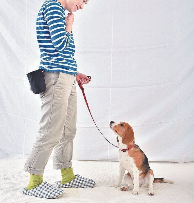 見つめ合うだけで愛犬がイイコに アイコンタクト がスゴイ いぬのきもち Web Magazine Goo ニュース