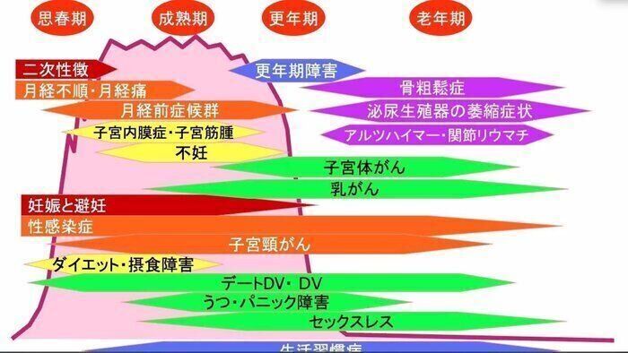 女性ホルモンは 女性の元気と若さを保つ お守り だった サンキュ 女性の健康を一生支える産婦人科医の対馬ル ｄメニューニュース Nttドコモ