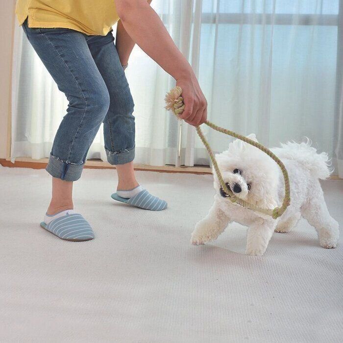 犬の 吠える うなる 対策 犬の興奮を予防するお世話とは いぬのきもち Web Magazine 興奮すると うなったり吠えたりしてしまう ｄメニューニュース Nttドコモ