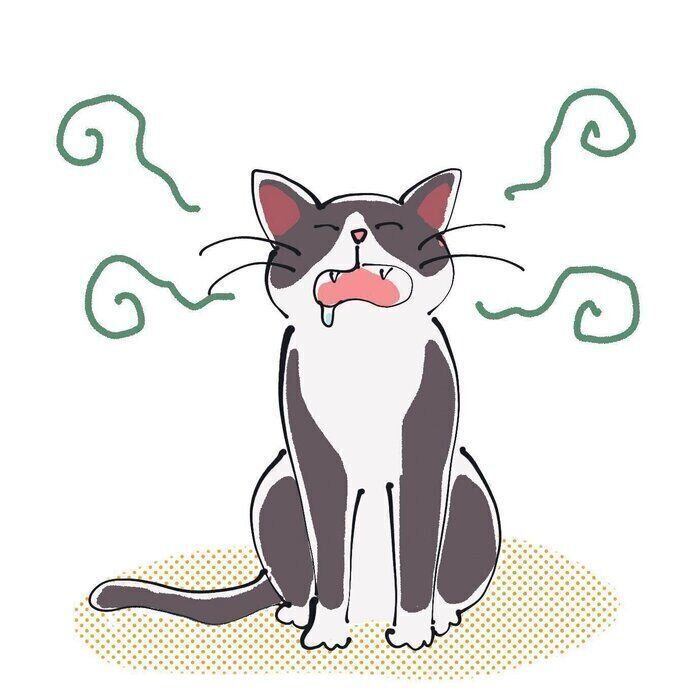 愛猫から口臭u2049猫の「歯肉炎」にまつわる飼い主さんの疑問|獣医師が