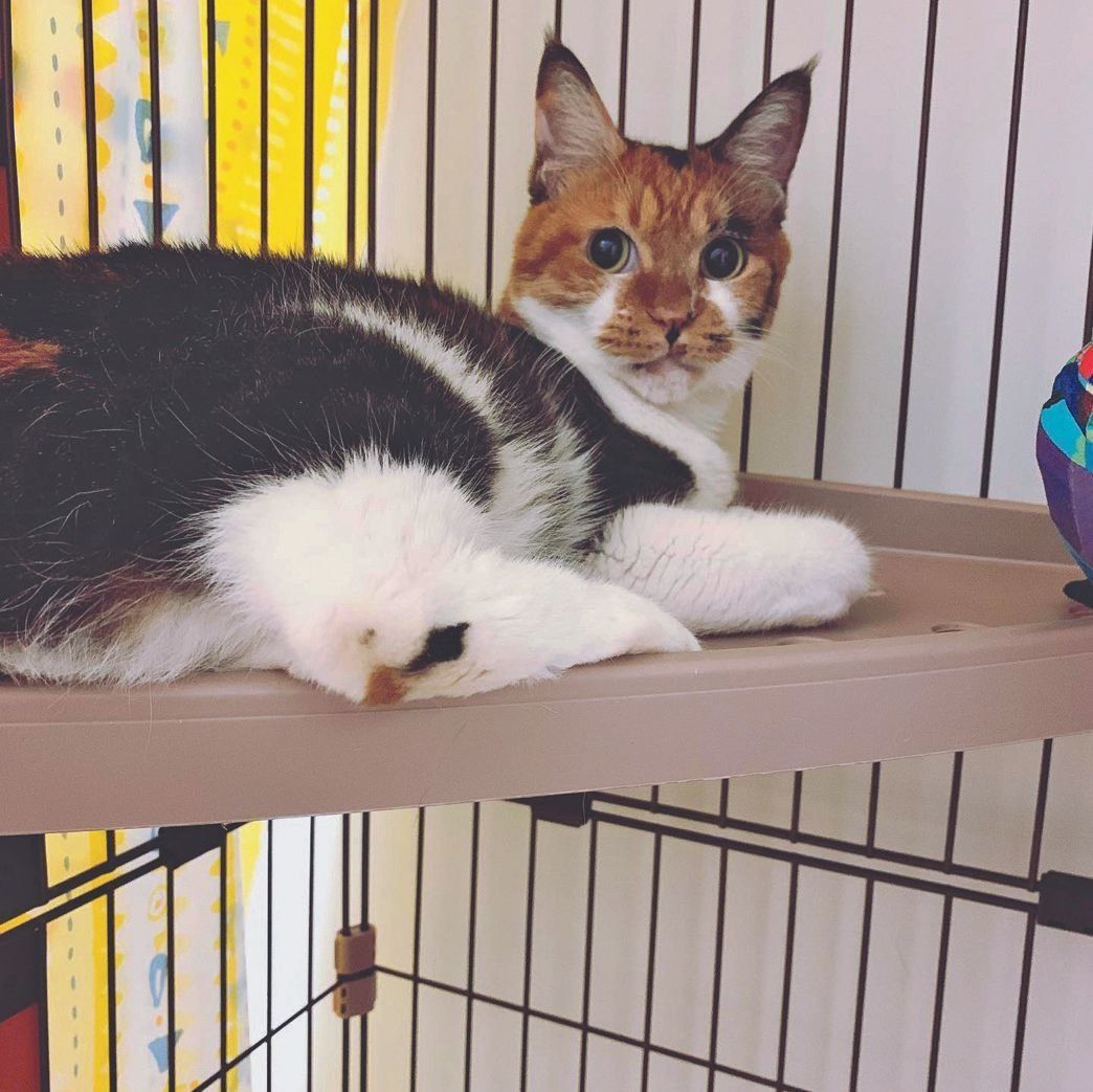 写真提供／一般財団法人クリステル・ヴィ・アンサンブル