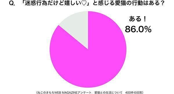 グラフ：「迷惑行為だけど嬉しい♡」と感じる愛猫の行動はある？