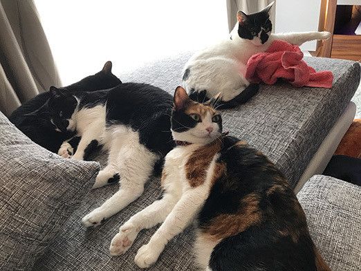 夢みるソラのとんでもない行動