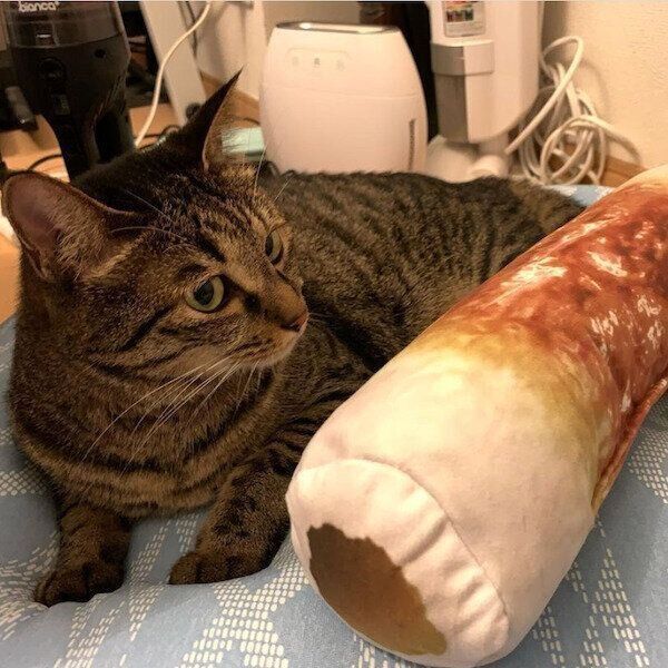 ニトリの猫グッズ