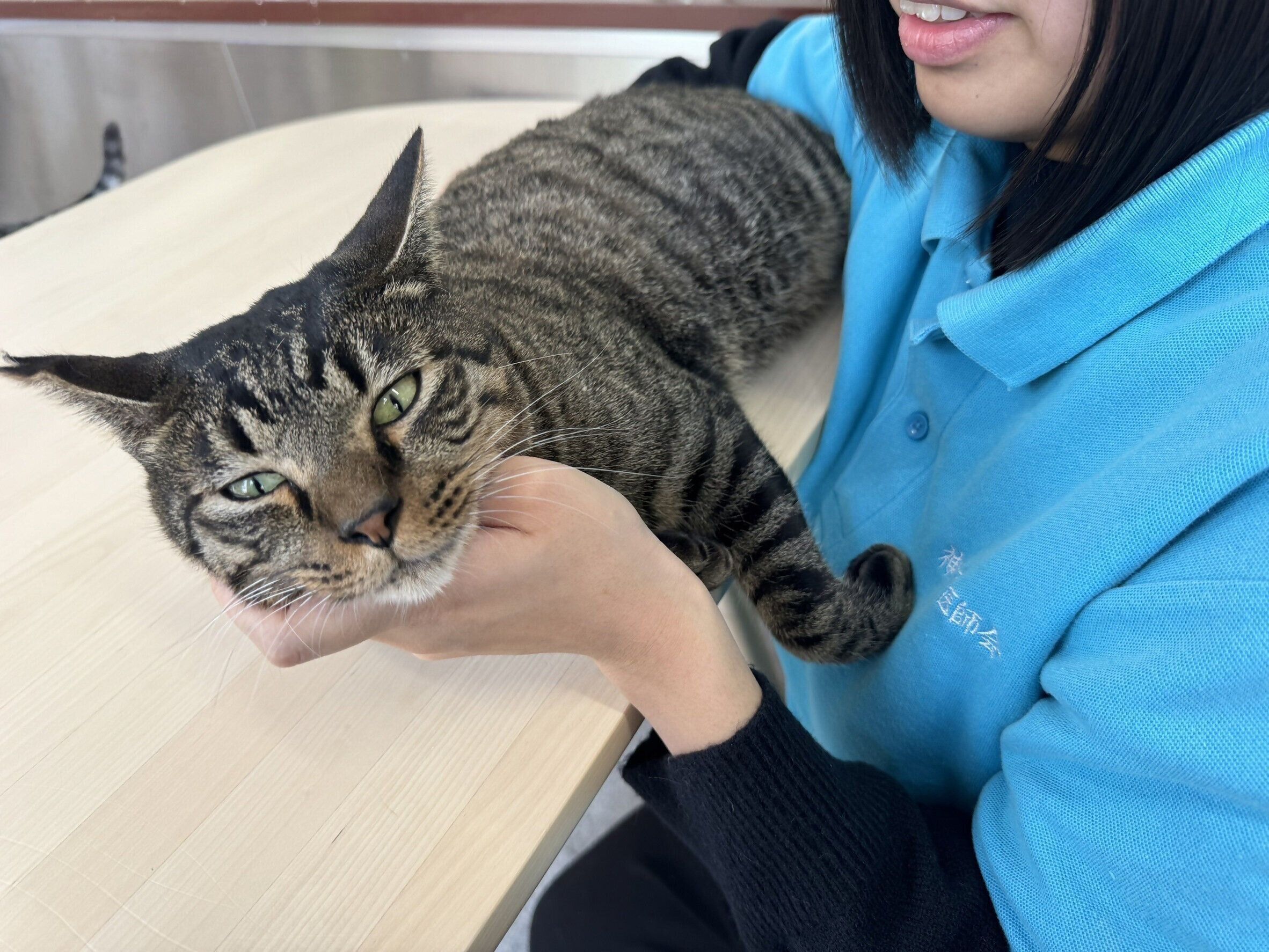 写真提供／神戸市環境衛生課