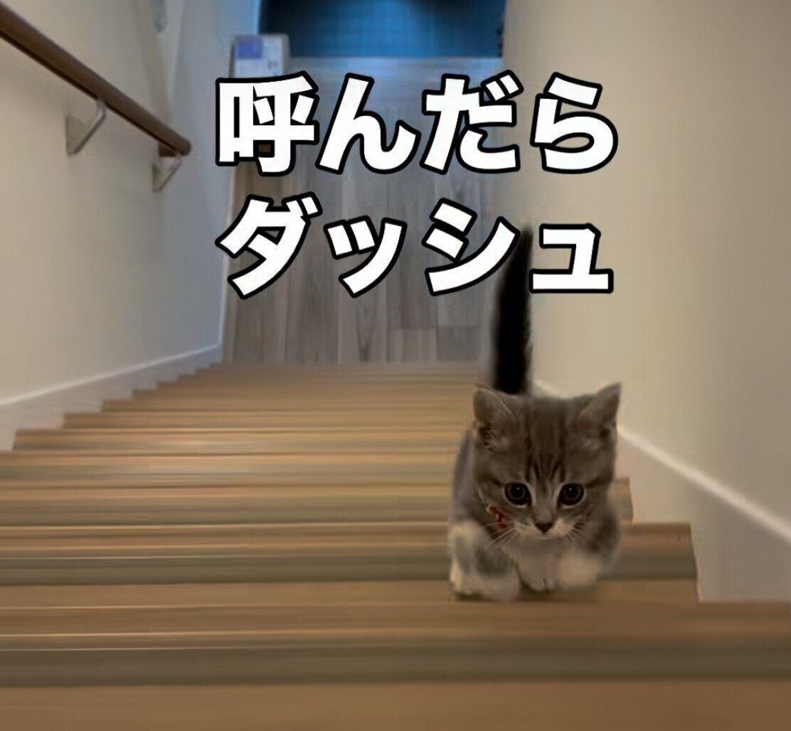 真剣な表情がかわいすぎる