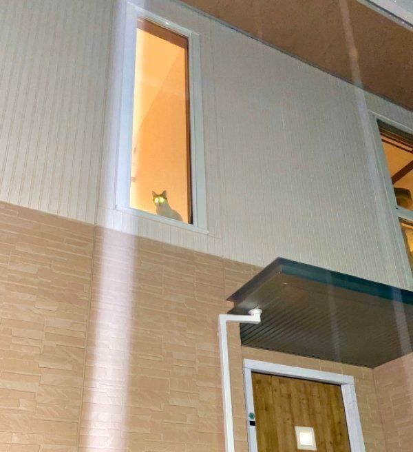 目を光らせる未確認生物!?