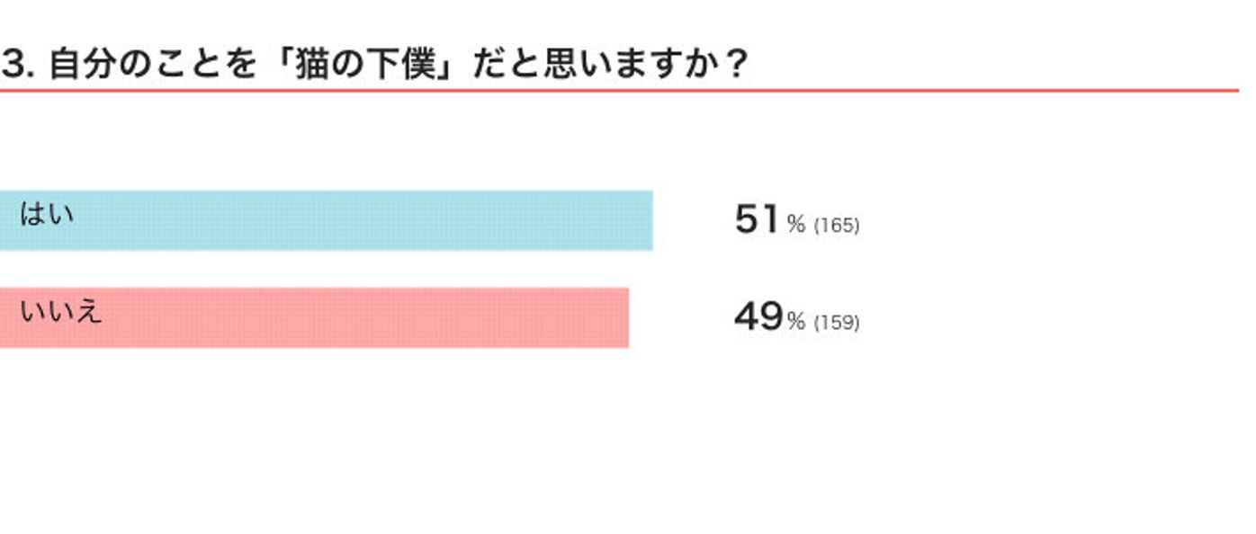 いつから愛猫の下僕になった 飼い主が語る きっかけ に共感できる ねこのきもちweb Magazine いつから愛猫の下僕になった 飼い主が語る きっかけ に共感できる ねこのきもちweb Magazine