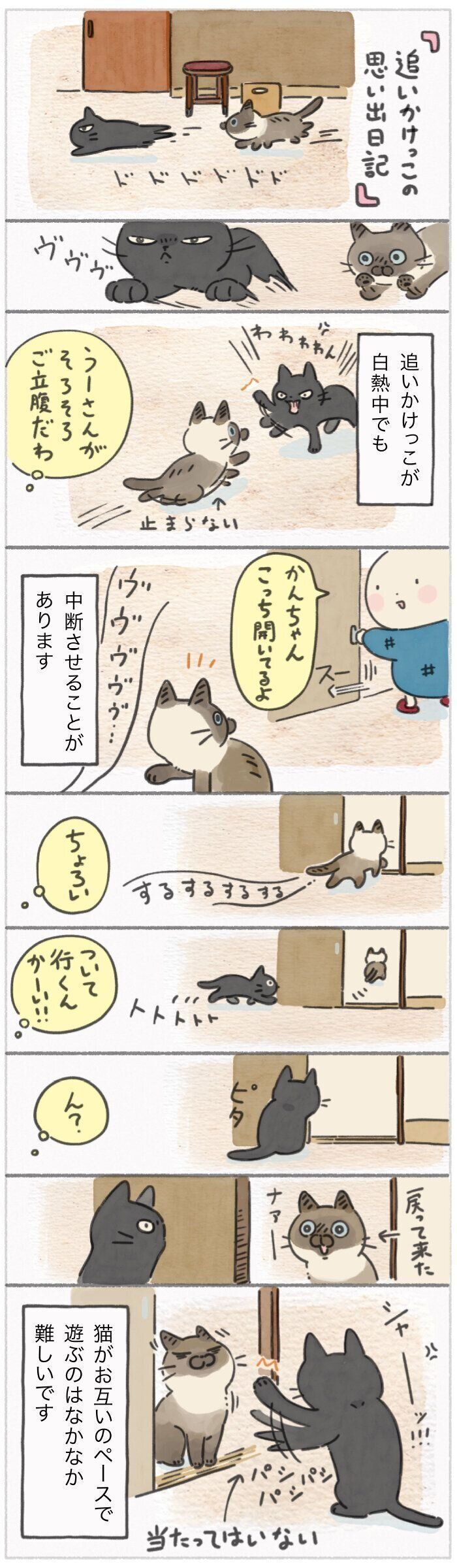 「ねこ連れ草」305話め