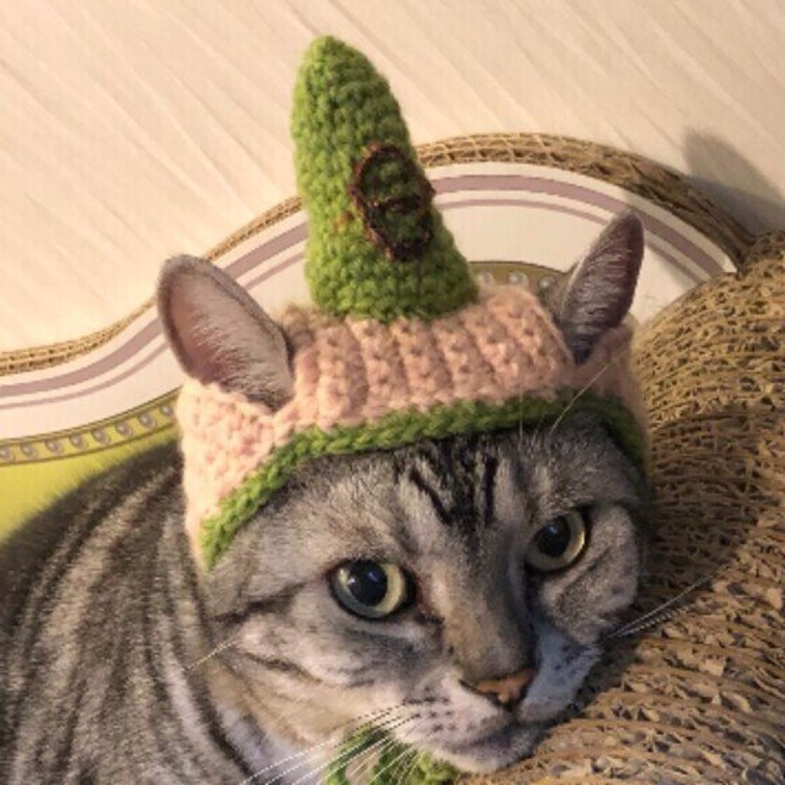 真心のこもったプレゼント 愛猫のためのハンドメイドグッズ集 ねこのきもちweb Magazine 真心のこもったプレゼント 愛猫のためのハンドメイドグッズ集 ねこのきもちweb Magazine