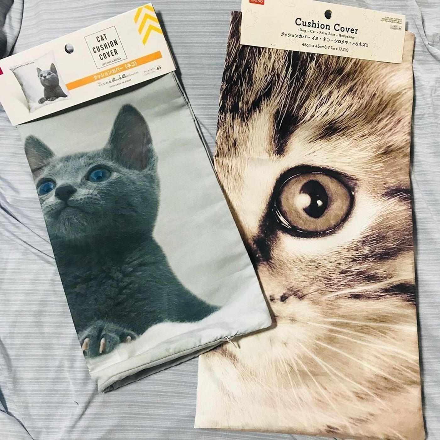 猫好きさん注目 インパクト大なダイソーの 猫クッション ねこのきもちweb Magazine 猫好きさん注目 インパクト大なダイソーの 猫クッション ねこのきもちweb Magazine