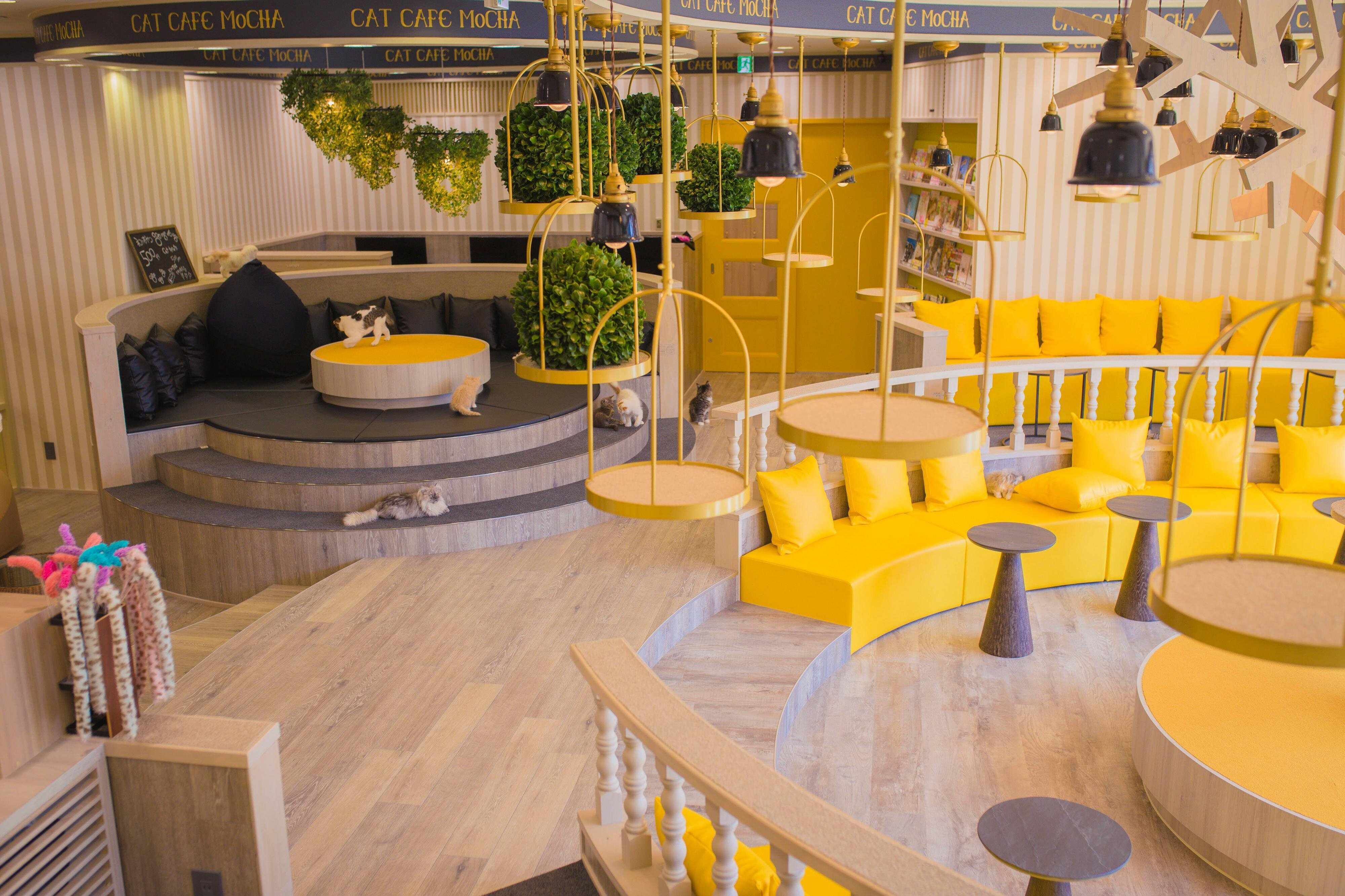 陽の光が差し込む大きな窓のある明るい店内