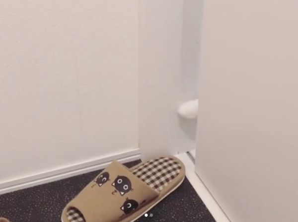 スリッパに狙いを定める猫