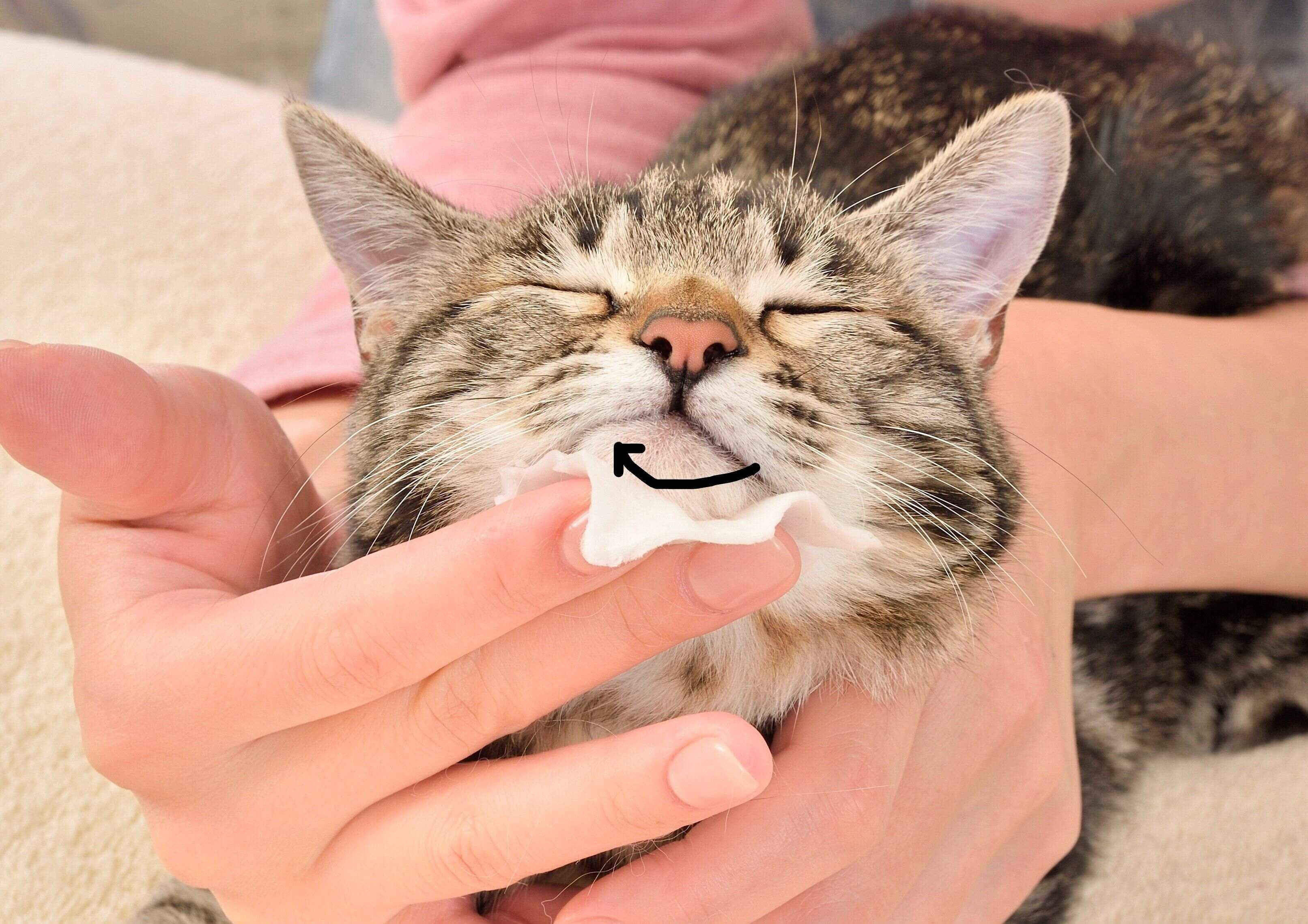 撮影／佐藤正之