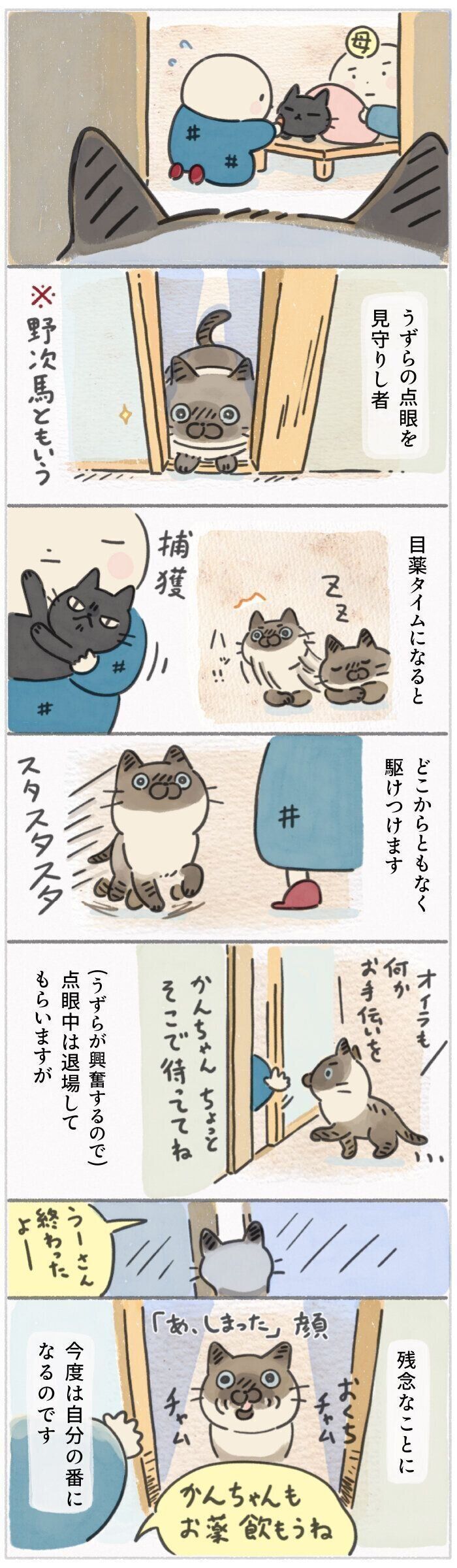 「ねこ連れ草」310話め