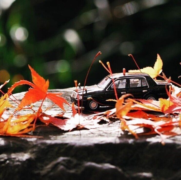 落ち葉に囲まれたタクシーのおもちゃ
