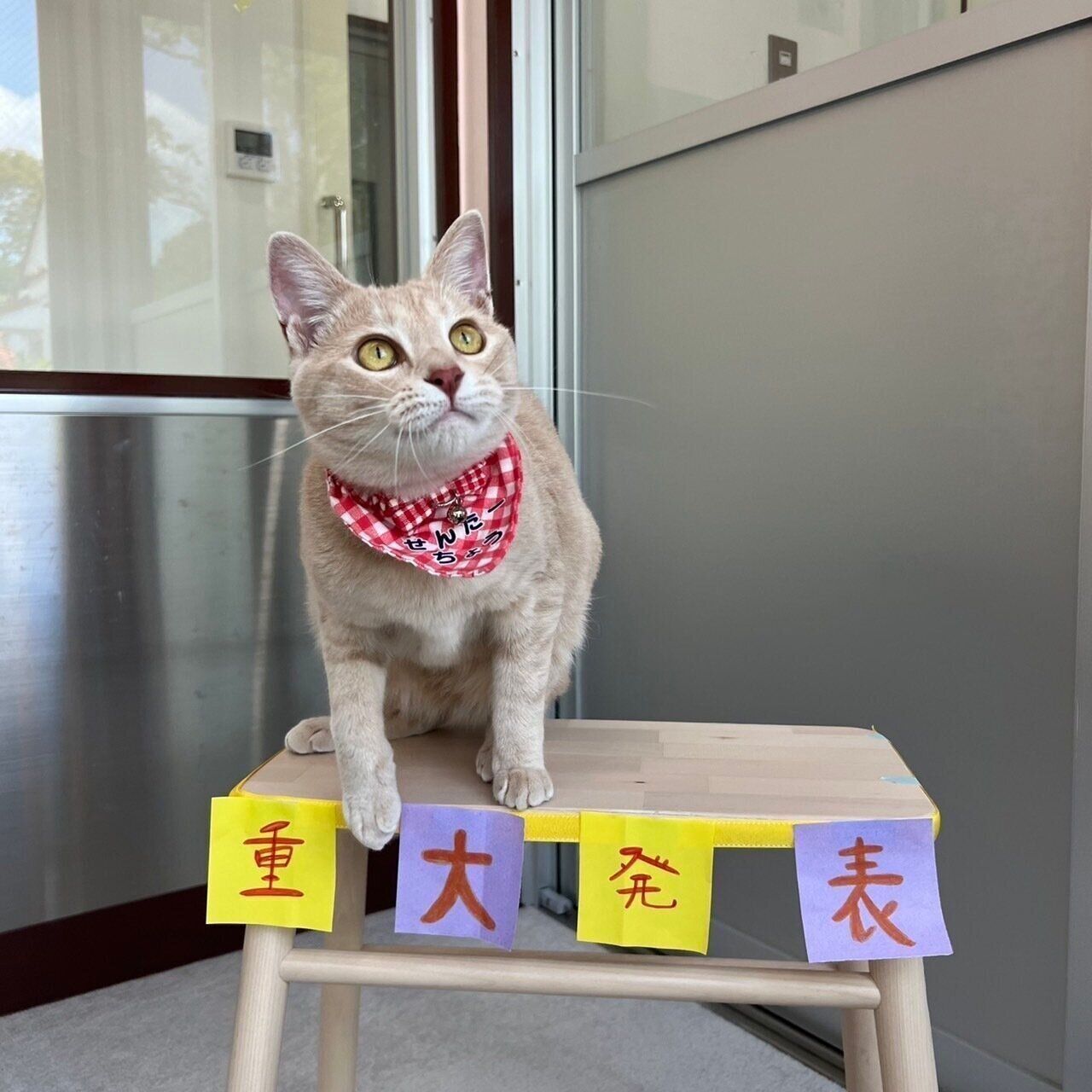 写真提供／神戸市環境衛生課