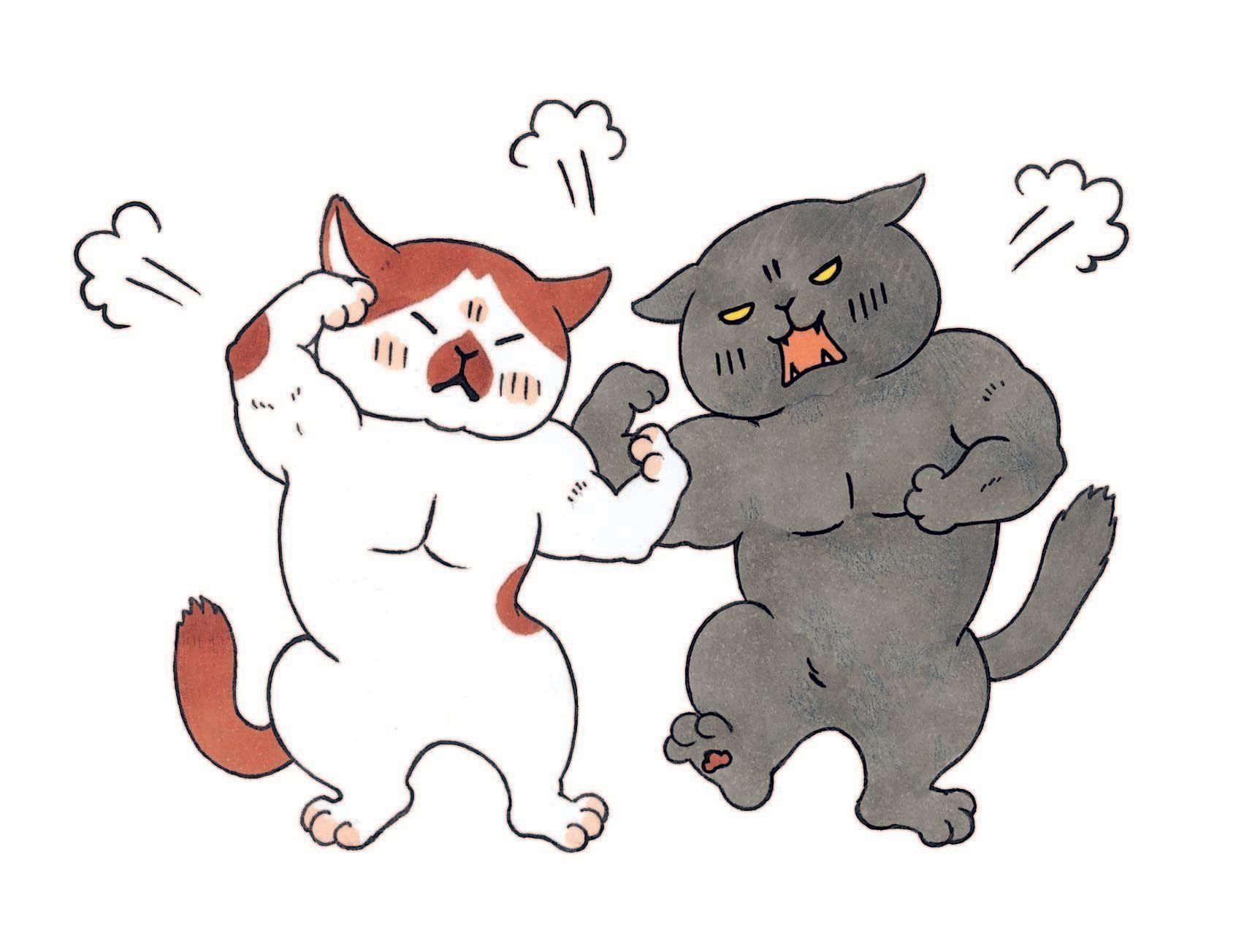 イラスト／こんの　ゆか