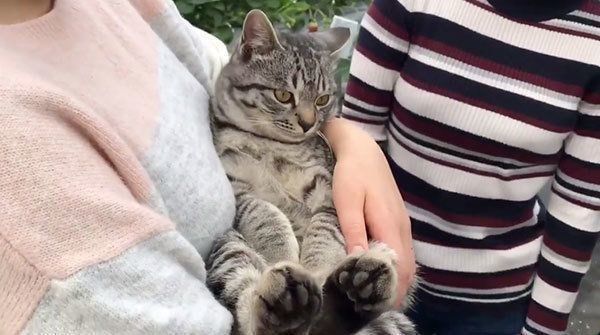 抱っこされるコタローくん