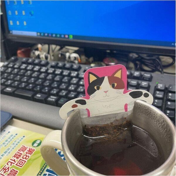 カルディの猫モチーフアイテム