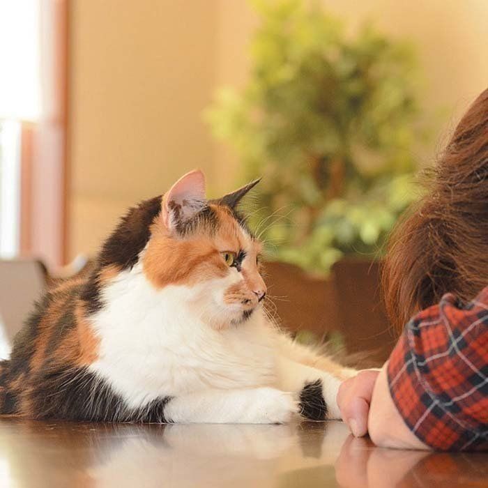 撮影／栗林　愛