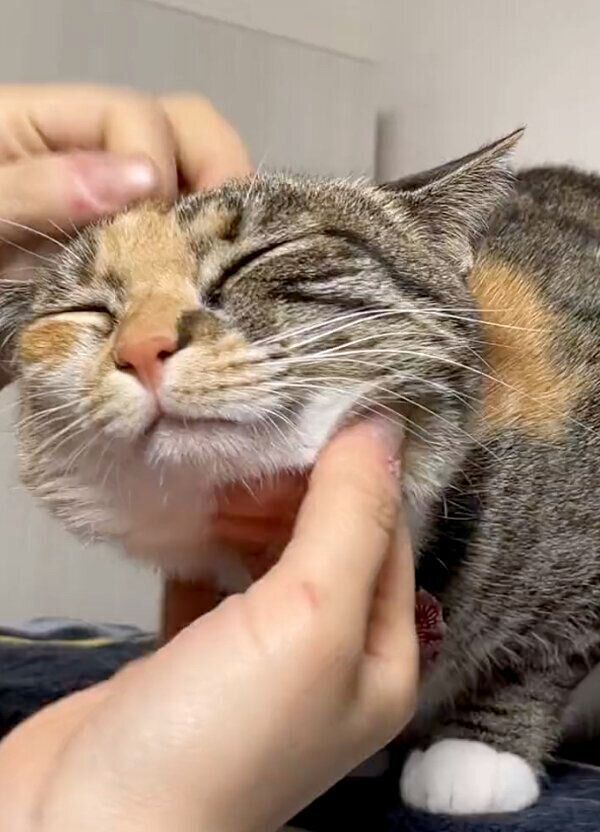 幸せそうなぴーちゃん