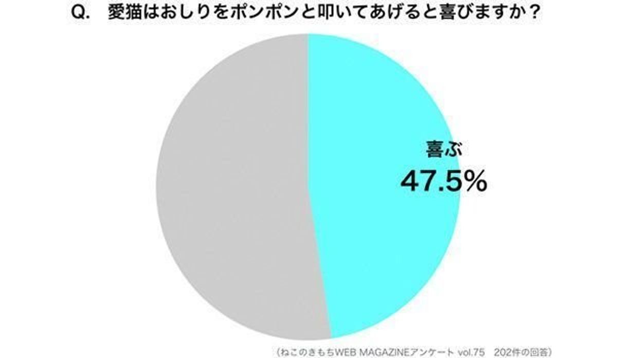 猫はおしり しっぽの付け根をポンポンすると喜ぶ 意外な結果に驚き ねこのきもちweb Magazine 猫はおしり しっぽの付け根をポンポンすると喜ぶ 意外な結果に驚き ねこのきもちweb Magazine